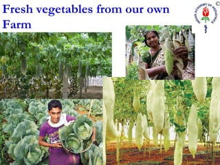 Fresh vegetables from our own
Farm
 
