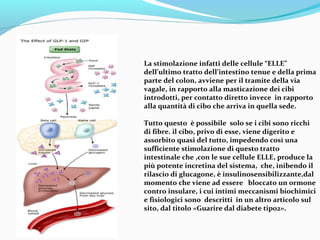 La stimolazione infatti delle cellule “ELLE” 
dell’ultimo tratto dell’intestino tenue e della prima 
parte del colon, avvi...