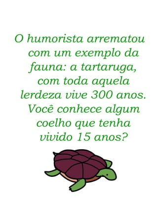 O humorista arrematou com um exemplo da fauna: a tartaruga, com toda aquela lerdeza vive 300 anos. Você conhece algum coelho que tenha vivido 15 anos? 