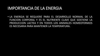 IMPORTANCIA DE LA ENERGIA
• LA ENERGIA SE REQUIERE PARA EL DESARROLLO NORMAL DE LA
FUNCION CORPORAL Y ES EL NUTRIENTE CLAVE QUE SOSTIENE LA
PRODUCCION LACTEA Y EN TODOS LOS ANIMALES HOMEOTERMOS
ES NECESARIA PARA MANTENER LA TEMPERATURA.
 