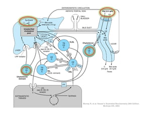 CHOLESTEROL SYNTHESIS, TRANSPORT, & EXCRETION                                            /     225

                                                                          ENTEROHEPATIC CIRCULATION
                                                                                HEPATIC PORTAL VEIN                                Diet (0.4 g/d)
                                                                                                                                     C
                                                                                                                                           CE
                                                                                                      GALL
                                                                                                      BLADDER
               Synthesis
                                  –
           –                               Bile acids
                                      (total pool, 3–5 g)
                                                                                                          BILE DUCT
            Unesterified
            cholesterol                                                                                                               CE
               pool
                                                                                                                              C
                                      ACAT            CE                                                                             Bile
                           C          C                                                                                             acids
                                                  HL                                 VLDL
           C                                                              TG                              Chylomicron    CE
                                            TG                                                                                                ILEUM
                                                 ,C                       CE
                                                   E
                                        LDL                                C
                                   (apo B-100, E)                                                              TG
  LIVER                               receptor                                                                 CE                                8 –9 9




                                                                                                                                                        %
                                                                                                                                              9
                                                               LDL                                              C




                                                                                     TG
                                                                                CE
  LRP receptor                                        CE
                                                      C              TG
                                                                     CE               CE
                                                               TG                     C         CE
                                                                                                     TP
                                                                                                                                      C     Bile acids
               TG                     TG                       CE                AT
                                                                                              A-I                                 (0.6 g/d) (0.4 g/d)
                                      CE
                                                                                LC

               CE                             IDL
                C                      C                                          HDL                                                    Feces
                                              (VLDL remnant)

    Chylomicron
      remnant


                                                                          LPL             C
                                    LDL
                               (apo B-100, E)
                       C          receptor

  EXTRAHEPATIC                                             C                      Synthesis
     TISSUES


                                                       CE
                                                                                                          Murray R, et al. Harper’s Illustrated Biochemistry 26th Edition.
                                                                                                                                 McGraw-Hill, 2003

Figure 26–6. Transport of cholesterol between the tissues in humans. (C, unesterified cholesterol; CE, cho-
 