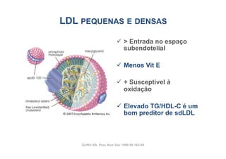 LDL PEQUENAS E DENSAS

                          ü  > Entrada no espaço
                              subendotelial

                          ü  Menos Vit E

                          ü  + Susceptível à
                              oxidação

                          ü  Elevado TG/HDL-C é um
                              bom preditor de sdLDL



    Griffin BA. Proc Nutr Soc 1999;58:163-69
 