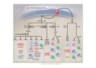 De Caterina R. N Engl J Med 2011
 