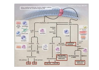 De Caterina R. N Engl J Med 2011
 