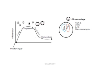 67   Gilroy DW. 2010
 
