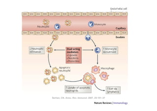 Serhan, CN. Annu. Rev. Immunol. 2007. 25:101–37
 