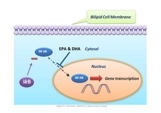 EPA	
  	
  DHA	
  




Calder PC. Biochimie. 2009 Feb 3. [Epub ahead of print]
 