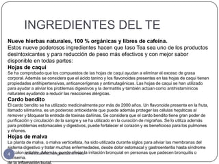 INGREDIENTES DEL TE
Nueve hierbas naturales, 100 % orgánicas y libres de cafeína.
Estos nueve poderosos ingredientes hacen que Iaso Tea sea uno de los productos
desintoxicantes y para reducción de peso más efectivos y con mejor sabor
disponible en todas partes:
Hojas de caqui
Se ha comprobado que los compuestos de las hojas de caqui ayudan a eliminar el exceso de grasa
corporal. Además se considera que el ácido tanino y los flavonoides presentes en las hojas de caqui tienen
propiedades antihipertensivas, anticancerígenas y antimutagénicas. Las hojas de caqui se han utilizado
para ayudar a aliviar los problemas digestivos y la dermatitis y también actúan como antihistamínicos
naturales ayudando a reducir las reacciones alérgicas.
Cardo bendito
El cardo bendito se ha utilizado medicinalmente por más de 2000 años. Un flavonoide presente en la fruta,
llamado silimarina, es un poderoso antioxidante que puede además proteger las células hepáticas al
remover y bloquear la entrada de toxinas dañinas. Se considera que el cardo bendito tiene gran poder de
purificación y circulación de la sangre y se ha utilizado en la curación de migrañas. Se lo utiliza además
para problemas estomacales y digestivos, puede fortalecer el corazón y es beneficioso para los pulmones
y riñones.
Hojas de malva
La planta de malva, o malva verticellata, ha sido utilizada durante siglos para aliviar las membranas del
sistema digestivo y tratar muchas enfermedades, desde dolor estomacal y gastroenteritis hasta síndrome
de colon www.totallifechanges.com/niveala irritación bronquial en personas que padecen bronquitis o
4        irritable. Además, puede aliviar
enfisema.
 