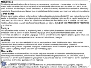 Malvavisco
El malvavisco era utilizado por los antiguos griegos para curar hematomas y hemorragias, y como un laxante
suave. Se lo utilizaba en la Europa medieval para la indigestión y la diarrea. Rico en calcio, zinc, hierro, sodio,
yodo, vitaminas del complejo B y ácido pantoténico, el malvavisco alivia y ayuda al tracto estomacal, intestinal y
respiratorio. Se considera además que tiene propiedades antiinfecciosas y que refuerza el sistema inmunológico.
Cardo santo
El cardo santo ha sido utilizado en la medicina tradicional desde principios del siglo XVI para mejorar la memoria,
ayudar la digestión y tratar una amplia variedad de otras enfermedades y trastornos. En la medicina naturista, el
cardo santo se utiliza para el cáncer, las infecciones, la inflamación, la colecistopatía, la ictericia, los trastornos
hepáticos, la displasia cervical, las afecciones cardíacas, las úlceras de la piel, las infecciones vaginales
y la diarrea.
Papaya
Rica en antioxidantes, vitamina B, magnesio y fibra, la papaya promueve la salud cardiovascular y brinda
protección contra el cáncer de colon. Además, la papaya ayuda a prevenir enfermedades como las otitis
recurrentes, los resfriados y la gripe. La papaya contiene también la enzima digestiva papaína que se utiliza para
el tratamiento de lesiones deportivas, otras causas de traumatismos y alergias.
Jengibre
La medicina china recomienda el jengibre para el tratamiento de varios problemas de salud, incluidas las
enfermedades relacionadas con la inflamación de las articulaciones tales como artritis, problemas
gastrointestinales y dolores corporales. El jengibre puede además aliviar dolores de garganta, dolores de cabeza,
colitis ulcerosa y fiebre y dolores causados por resfriados y gripe.
Manzanilla
La manzanilla es un antiinflamatorio natural que se puede utilizar en el tratamiento de molestias digestivas,
espasmos gastrointestinales, enfermedades inflamatorias del tracto gastrointestinal, tos y resfriado, fiebre y
bronquitis. Los efectos suaves sedativos y relajantes musculares de Iaso Tea pueden además ayudar a conciliar
el sueño más fácilmente a quienes padecen insomnio.
Mirra       www.totallifechanges.com/nivea
La 5
   mirra se utiliza en muchos países en el tratamiento de varias irritaciones de boca y garganta. Algunos
enjuagues bucales y medicamentos para el dolor de garganta contienen mirra y ha sido aprobada en Alemania
 