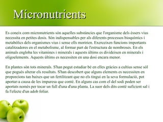 Es coneix com micronutrients són aquelles substàncies que l'organisme dels éssers vius necessita en petites dosis. Són indispensables per als diferents processos bioquímics i metabòlics dels organismes vius i sense ells moririen. Exerceixen funcions importants catalitzadores en el metabolisme, al formar part de l'estructura de nombroses. En els animals engloba les vitamines i minerals i aquests últims es divideixen en minerals i oligoelements. Aquests últims es necessiten en una dosi encara menor.  En plantes són tots minerals. S'han pogut estudiar bé en elles gràcies a cultius sense sòl que pogués alterar els resultats. S'han descobert que alguns elements es necessiten en proporcions tan baixes que un fertilitzant que no els tingui en la seva formulació, pot aportar-a causa de les impuresa que conté. En alguns cas com el del sodi poden ser aportats només per tocar un full d'una d'una planta. La suor dels dits conté suficient sal i fa l'efecte d'un adob foliar.  Micronutrients 
