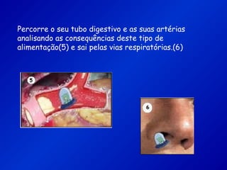Percorre o seu tubo digestivo e as suas artérias
analisando as consequências deste tipo de
alimentação(5) e sai pelas vias respiratórias.(6)
 