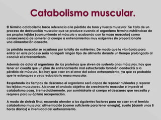 El término catabolismo hace referencia a la pérdida de tono y fuerza muscular. Se trata de unEl término catabolismo hace referencia a la pérdida de tono y fuerza muscular. Se trata de un
proceso de destrucción muscular que se produce cuando el organismo termina nutriéndose deproceso de destrucción muscular que se produce cuando el organismo termina nutriéndose de
sus propios tejidos (consumiendo el músculo y acabando con la masa muscular) comosus propios tejidos (consumiendo el músculo y acabando con la masa muscular) como
consecuencia de someter al cuerpo a entrenamientos muy exigentes sin proporcionarleconsecuencia de someter al cuerpo a entrenamientos muy exigentes sin proporcionarle
una alimentación correcta.una alimentación correcta.
La pérdida muscular se ocasiona por la falta de nutrientes. De modo que la vía rápida paraLa pérdida muscular se ocasiona por la falta de nutrientes. De modo que la vía rápida para
entrar en este proceso sería no ingerir ningún tipo de alimento durante un tiempo prolongado alentrar en este proceso sería no ingerir ningún tipo de alimento durante un tiempo prolongado al
concluir el entrenamiento.concluir el entrenamiento.
Además de dotar al organismo de las proteínas que sirven de sustento a los músculos, hay queAdemás de dotar al organismo de las proteínas que sirven de sustento a los músculos, hay que
tener en cuenta que un plan de entrenamiento mal estructurado también conducirá a latener en cuenta que un plan de entrenamiento mal estructurado también conducirá a la
pérdida de músculo. No hay que caer en el error del sobre entrenamiento, ya que es probablepérdida de músculo. No hay que caer en el error del sobre entrenamiento, ya que es probable
que te estanques o veas reducida tu masa muscular.que te estanques o veas reducida tu masa muscular.
Respetando los tiempos de descanso el organismo será capaz de reponer nutrientes y repararRespetando los tiempos de descanso el organismo será capaz de reponer nutrientes y reparar
los tejidos musculares. Alcanzar el ansiado objetivo de crecimiento muscular e impedir ellos tejidos musculares. Alcanzar el ansiado objetivo de crecimiento muscular e impedir el
catabolismo pasa, irremediablemente, por suministrarle al cuerpo el descanso que necesita ycatabolismo pasa, irremediablemente, por suministrarle al cuerpo el descanso que necesita y
requiere para su óptima recuperación.requiere para su óptima recuperación.
A modo de síntesis final, recuerda atender a los siguientes factores para no caer en el temidoA modo de síntesis final, recuerda atender a los siguientes factores para no caer en el temido
catabolismo muscular: alimentación (comer suficiente para tener energía), sueño (dormir unas 8catabolismo muscular: alimentación (comer suficiente para tener energía), sueño (dormir unas 8
horas diarias) e intensidad del entrenamiento.horas diarias) e intensidad del entrenamiento.
 