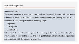 Diet and Digestion | PPT