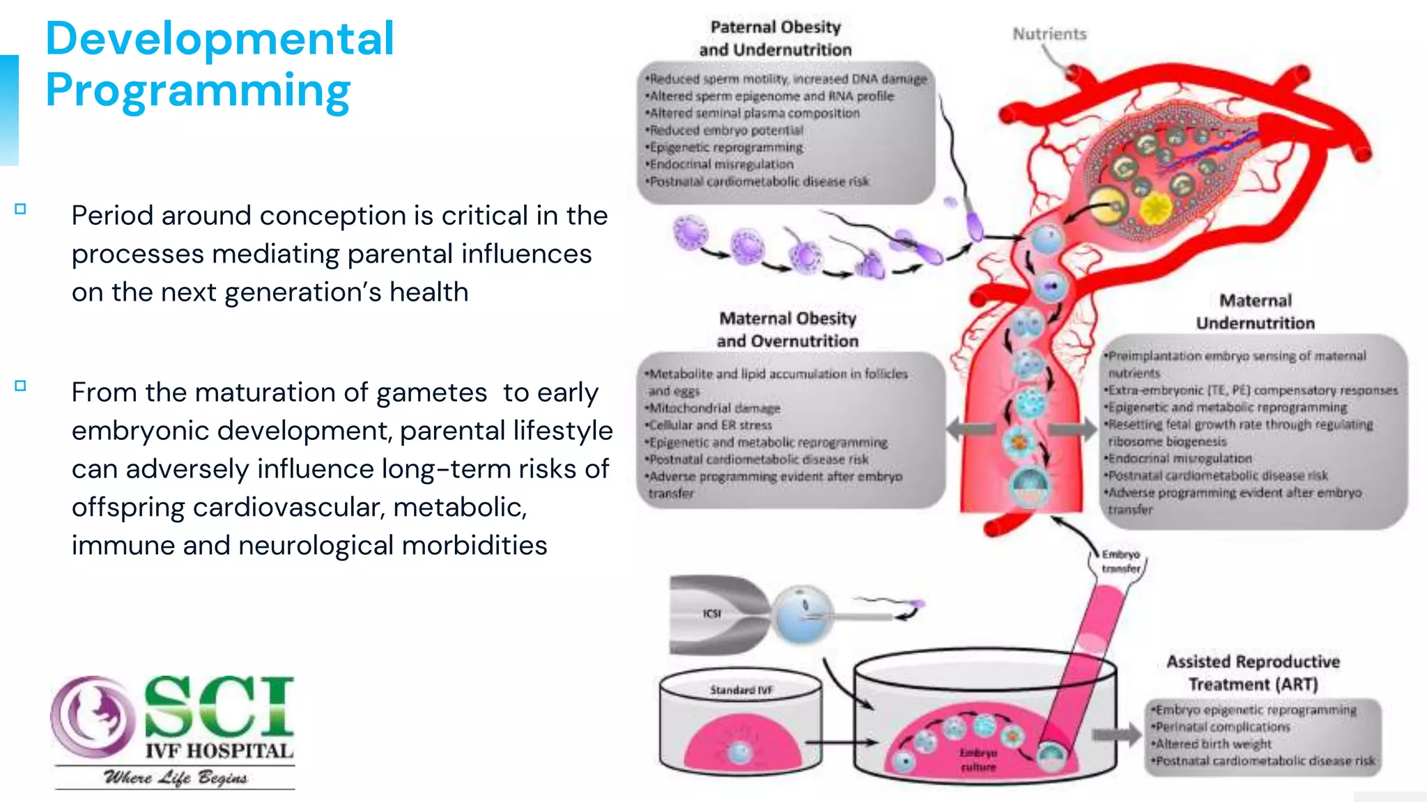 13
Developmental
Programming
▫ Period around conception is critical in the
processes mediating parental influences
on the next generation’s health
▫ From the maturation of gametes to early
embryonic development, parental lifestyle
can adversely influence long-term risks of
offspring cardiovascular, metabolic,
immune and neurological morbidities
 