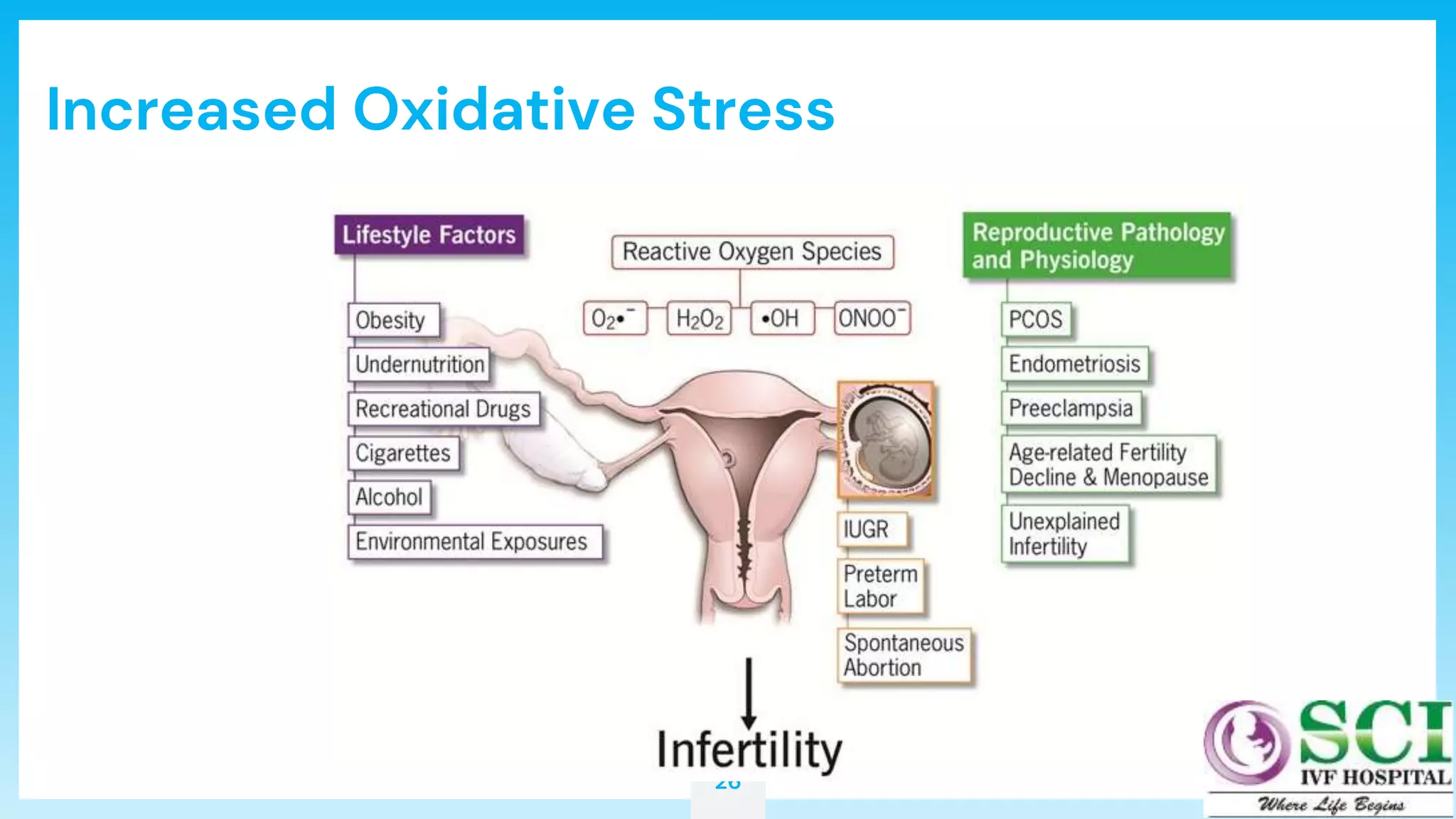 26
Increased Oxidative Stress
 
