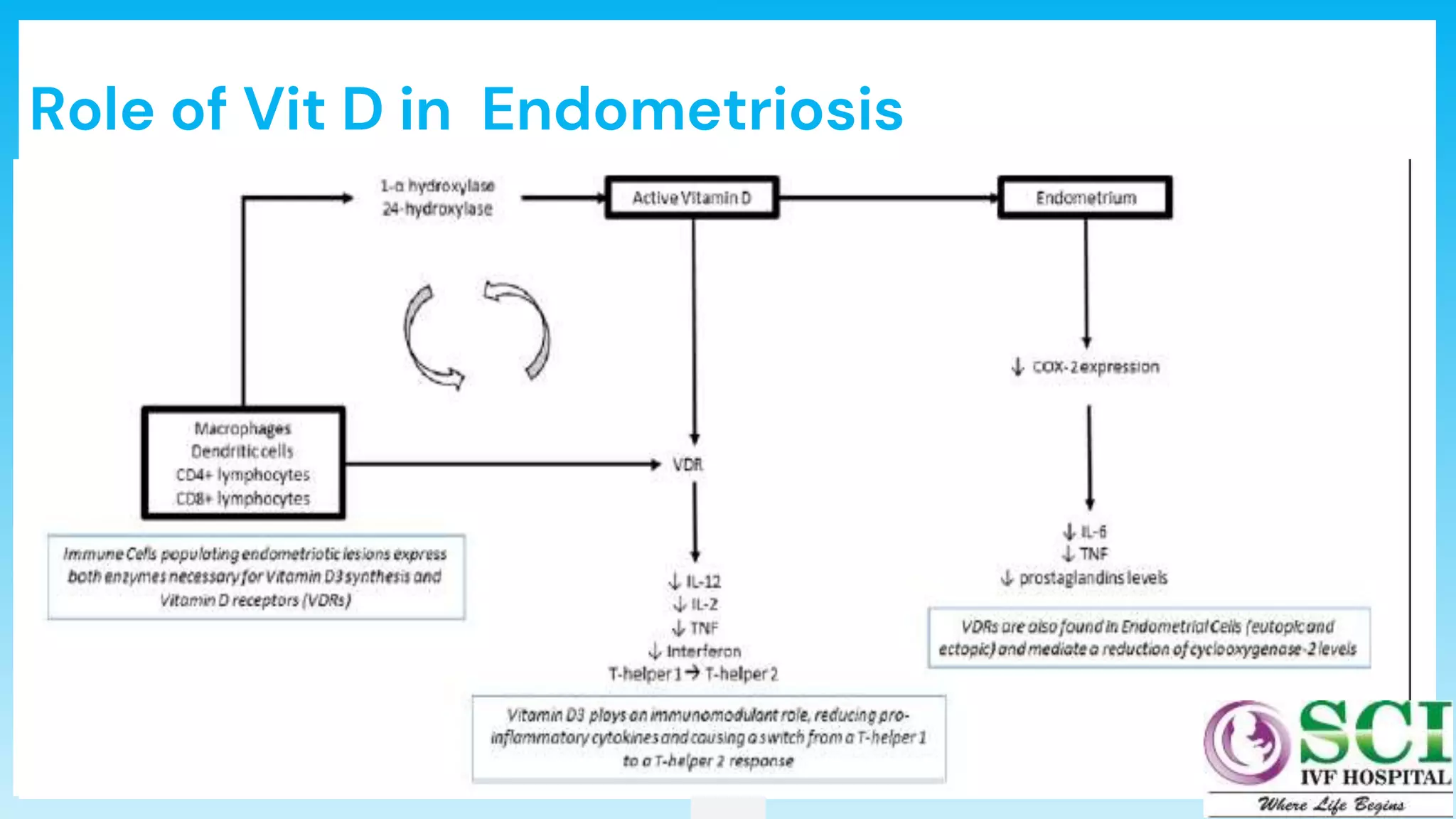 46
Role of Vit D in Endometriosis
 