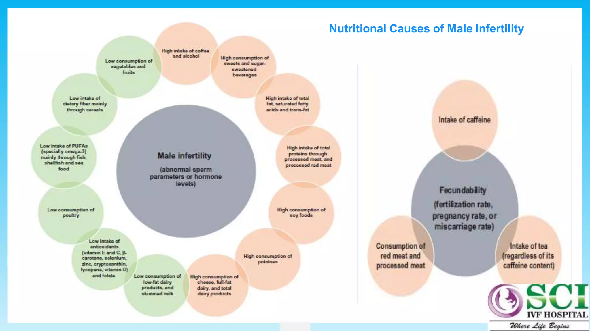 62
Nutritional Causes of Male Infertility
 