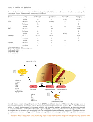 Diet and exercise in the treatment of fatty liver | PDF