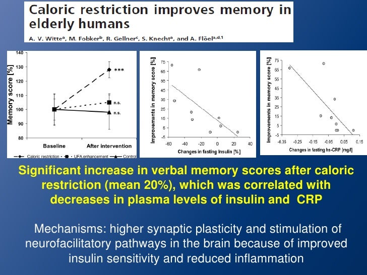 Foods that increase memory retention image 2