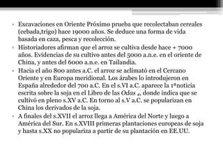 • Excavaciones en Oriente Próximo prueba que recolectaban cereales
  (cebada,trigo) hace 19000 años. Se deduce una forma de vida
  basada en caza, pesca y recolección.
• Historiadores afirman que el arroz se cultiva desde hace + 7000
  años. Evidencias de su cultivo antes del 5000 a.n.e. en el oriente de
  China, y antes del 6000 a.n.e. en Tailandia.
• Hacia el año 800 antes a.C. el arroz se aclimató en el Cercano
  Oriente y en Europa meridional. Los árabes lo introdujeron en
  España alrededor del 700 a.C. En el s.VI a.C. aparece la 1ªnoticia
  escrita sobre la soja en el Libro de las Odas ₄, donde indica que se
  cultivó en pleno s.XV a.C. En torno al s.V a.C. se popularizan en
  China los derivados de la soja.
• A finales del s.XVII el arroz llega a América del Norte y luego a
  América del Sur. En s.XVIII primeras plantaciones europeas de soja
  y hasta s.XX no populariza a partir de su plantación en EE.UU.
 