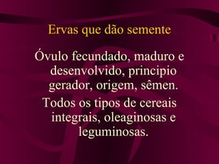 Ervas que dão semente
Óvulo fecundado, maduro e
  desenvolvido, principio
  gerador, origem, sêmen.
 Todos os tipos de cereais
  integrais, oleaginosas e
       leguminosas.
 