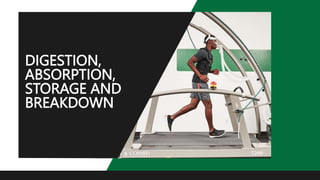 DIGESTION,
ABSORPTION,
STORAGE AND
BREAKDOWN
 