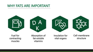 Fuel for
contracting
muscles
Absorption of
fat-soluble
vitamins
Insulation for
vital organs
Cell-membrane
structure
WHY FATS ARE IMPORTANT
 