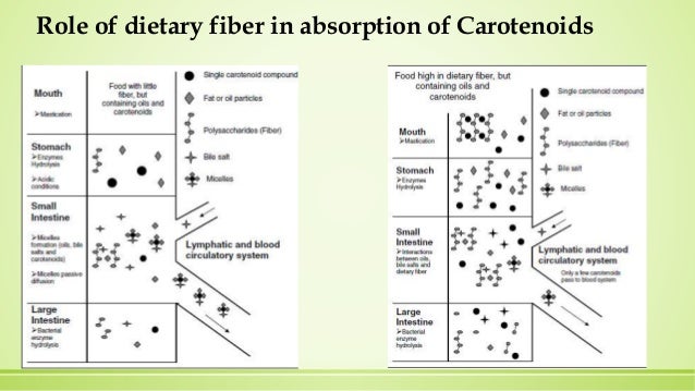 Where is dietary fiber absorbed