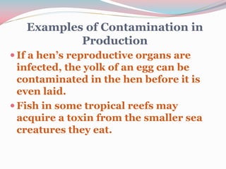Examples of Contamination in
Production
 If a hen’s reproductive organs are
infected, the yolk of an egg can be
contaminated in the hen before it is
even laid.
 Fish in some tropical reefs may
acquire a toxin from the smaller sea
creatures they eat.
 