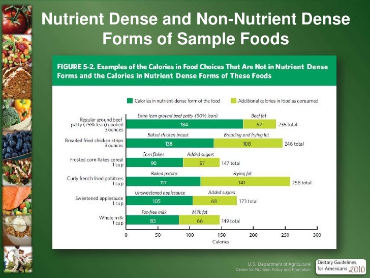 USDA Dietary Guidelines 2010 abridged