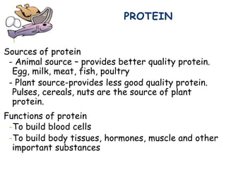 Sources of protein
- Animal source – provides better quality protein.
Egg, milk, meat, fish, poultry
- Plant source-provides less good quality protein.
Pulses, cereals, nuts are the source of plant
protein.
Functions of protein
-To build blood cells
-To build body tissues, hormones, muscle and other
important substances
PROTEIN
 