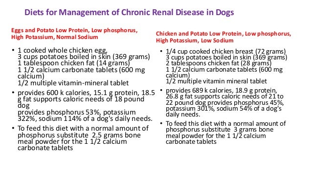 Low Phosphorus Diet For Dogs With Kidney Disease Cqtoday low-phosphorus-diet-for-dogs-with-kidney-disease-cqtoday