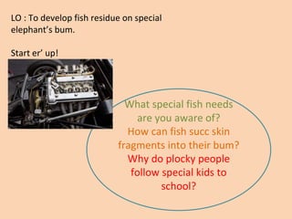 LO : To develop fish residue on special
elephant’s bum.
Start er’ up!
What special fish needs
are you aware of?
How can fish succ skin
fragments into their bum?
Why do plocky people
follow special kids to
school?
 