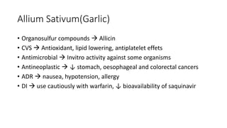 Allium Sativum(Garlic)
• Organosulfur compounds  Allicin
• CVS  Antioxidant, lipid lowering, antiplatelet effets
• Antimicrobial  Invitro activity against some organisms
• Antineoplastic  ↓ stomach, oesophageal and colorectal cancers
• ADR  nausea, hypotension, allergy
• DI  use cautiously with warfarin, ↓ bioavailability of saquinavir
 