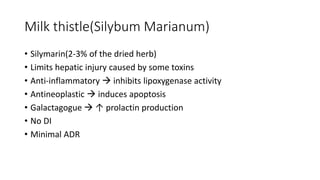 Milk thistle(Silybum Marianum)
• Silymarin(2-3% of the dried herb)
• Limits hepatic injury caused by some toxins
• Anti-inflammatory  inhibits lipoxygenase activity
• Antineoplastic  induces apoptosis
• Galactagogue  ↑ prolactin production
• No DI
• Minimal ADR
 