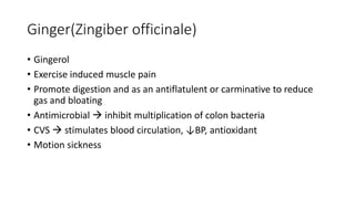 Ginger(Zingiber officinale)
• Gingerol
• Exercise induced muscle pain
• Promote digestion and as an antiflatulent or carminative to reduce
gas and bloating
• Antimicrobial  inhibit multiplication of colon bacteria
• CVS  stimulates blood circulation, ↓BP, antioxidant
• Motion sickness
 