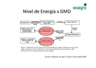Nível de Energia x GMD




          (Lanna e Tedeschi, Sci. agric. vol.56 n.2 Piracicaba 1999)
 