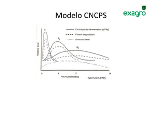 Modelo CNCPS




       (Van Soest,1994)
 