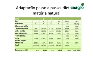 Adaptação passo a passo, dieta na
         matéria natural
Dieta                1         2         3         4
Dias                 5         9         6         55      Média        Preço
Alimentos            %         %         %         %        %          R$ / kg
Silagem de Milho                                           0.0%         0.060
Cana Hidrolizada    86%      77.21%    66.61%    62.93%    66.5%        0.040
Milho moído         5.30%    15.39%    25.31%    29.18%    25.6%        0.400
Soja grão moida     7.93%     6.36%     6.90%    6.64%     6.7%         0.700
Farelo de soja                                             0.0%         0.750
Uréia               0.26%     0.36%     0.41%    0.40%     0.4%         0.940
Núcleo Biopro
Adaptação           0.64%     0.67%     0.76%    0.65%     0.7%         2.200
Total              100.00%   100.00%   100.00%   100,00%   99.9%


Consumo em KG        16.77     20.45     19.01     21.48     20.85   Custo diária
 