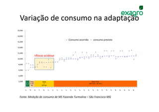 Variação de consumo na adaptação
20,000


18,000

                                       Consumo ocorrido         consumo previsto
16,000


14,000


12,000
                      >Risco acidose
10,000


 8,000


 6,000


 4,000


 2,000   Diet Dieta         Dieta                             Dieta Final
          a 2 (45:            3                           (68 Conc.: 32 Vol.)
         1(33 55)          (57:43)
   -




  Fonte: Medição de consumo de MS Fazenda Turmalina – São Francisco-MG
 