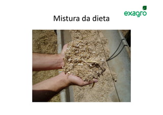 Mistura da dieta
 