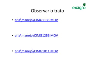 Observar o trato
• criamanejoCIMG1133.MOV



• criamanejoCIMG1256.MOV



• criamanejoCIMG1011.MOV
 