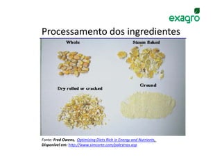 Processamento dos ingredientes




Fonte: Fred Owens, Optimizing Diets Rich in Energy and Nutrients,
Disponível em: http://www.simcorte.com/palestras.asp
 