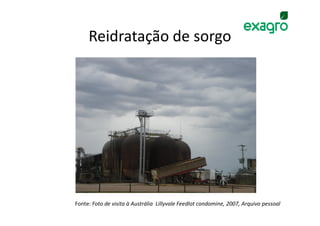 Reidratação de sorgo




Fonte: Foto de visita à Austrália Lillyvale Feedlot condomine, 2007, Arquivo pessoal
 
