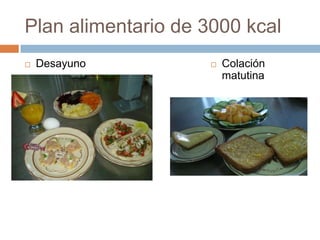 Plan alimentario de 3000 kcalDesayunoColación matutina