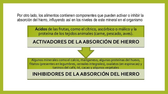 Dietas para la anemia y el sida