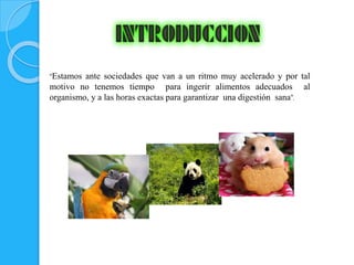 “Estamos ante sociedades que van a un ritmo muy acelerado y por tal 
motivo no tenemos tiempo para ingerir alimentos adecu...