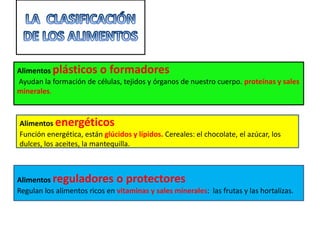 Alimentos plásticos o formadores
Ayudan la formación de células, tejidos y órganos de nuestro cuerpo. proteínas y sales
minerales.



Alimentos energéticos
Función energética, están glúcidos y lípidos. Cereales: el chocolate, el azúcar, los
dulces, los aceites, la mantequilla.



Alimentos reguladores o protectores
Regulan los alimentos ricos en vitaminas y sales minerales: las frutas y las hortalizas.
 
