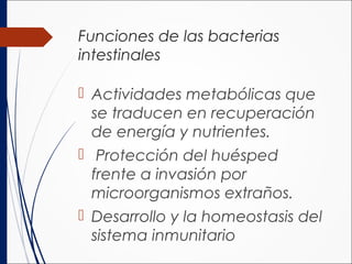 Funciones de las bacterias
intestinales
 Actividades metabólicas que
se traducen en recuperación
de energía y nutrientes.
 Protección del huésped
frente a invasión por
microorganismos extraños.
 Desarrollo y la homeostasis del
sistema inmunitario
 