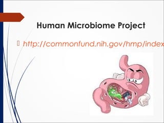 Human Microbiome Project
 http://commonfund.nih.gov/hmp/index
 
